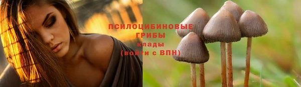 кокаин колумбия Лиски
