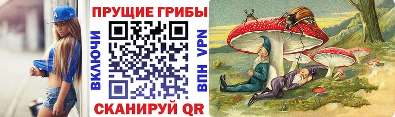 продажа наркотиков  Южа  Галлюциногенные грибы мухоморы 